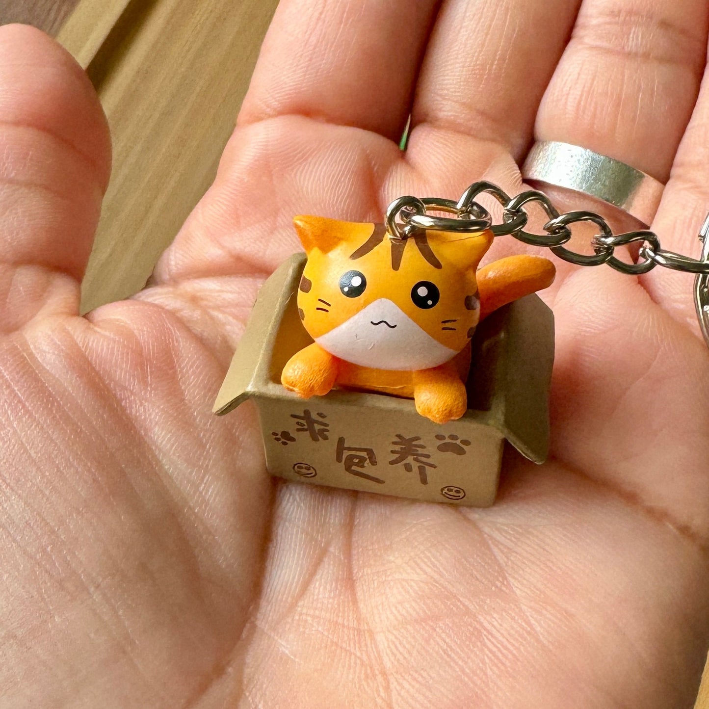 Kitten in a Box Keychain